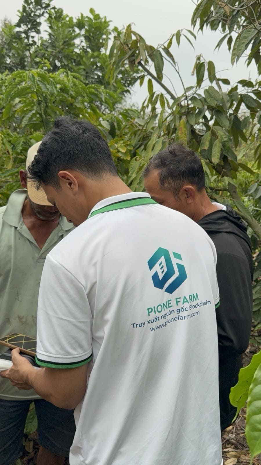 Ảnh hướng dẫn sử dụng Pione Trace: Khảo sát vùng trồng và định danh mã vùng bằng blockchain tại Đắk Lắk